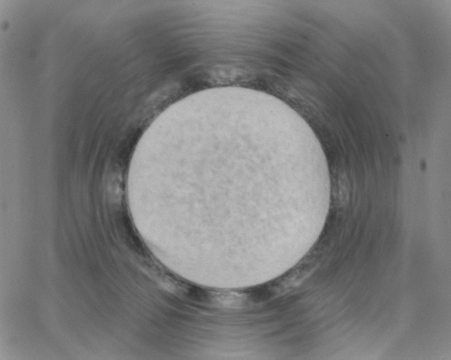 X0000064760226200603131416
