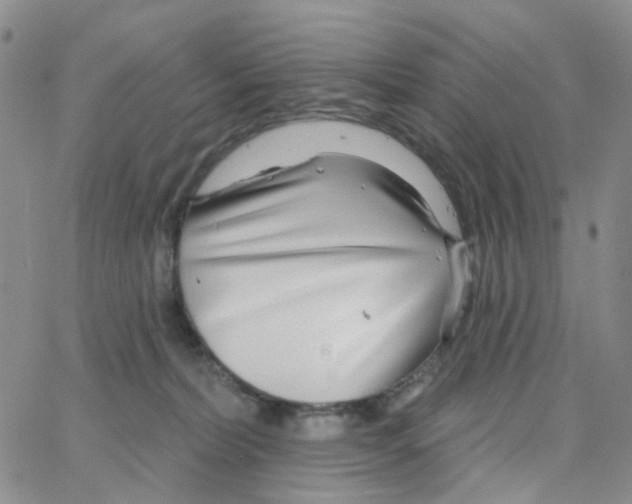 X0000064760228200603131416