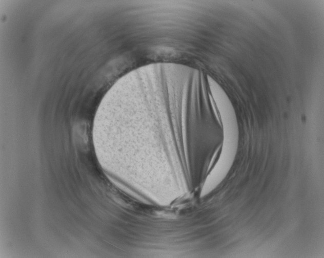 X0000064760232200603131416