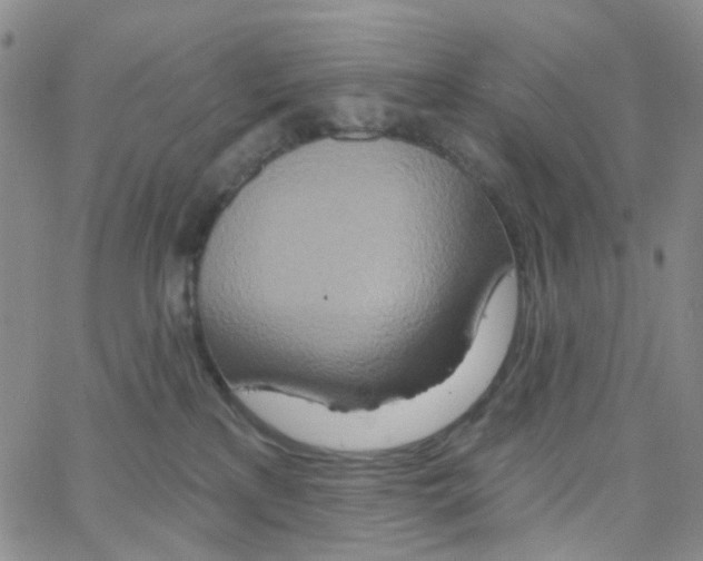 X0000064760233200603131416