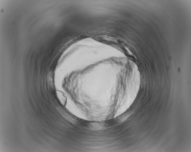 X0000064760238200603131416