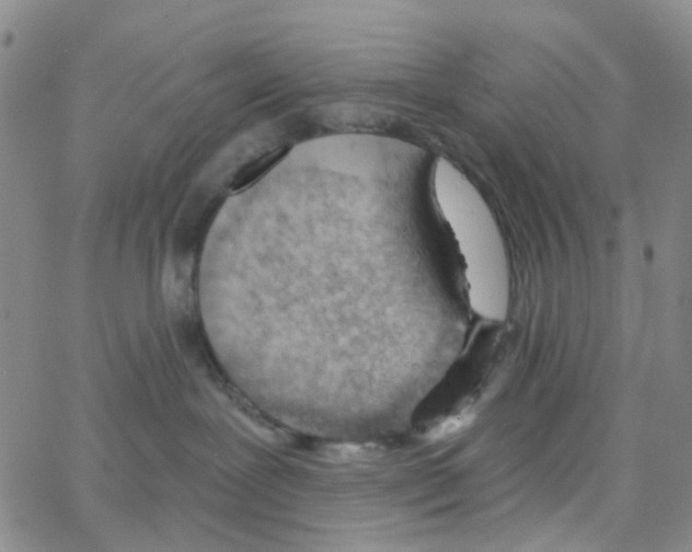 X0000064760239200603131416