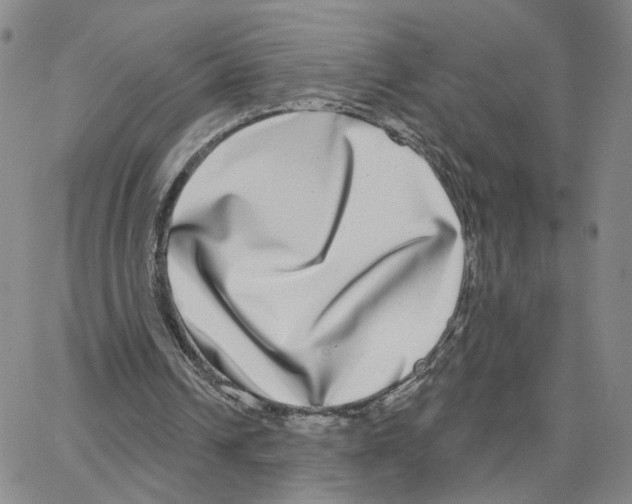 X0000064760242200603131415