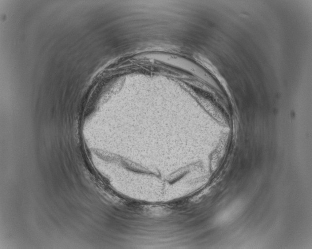 X0000064760249200603131416
