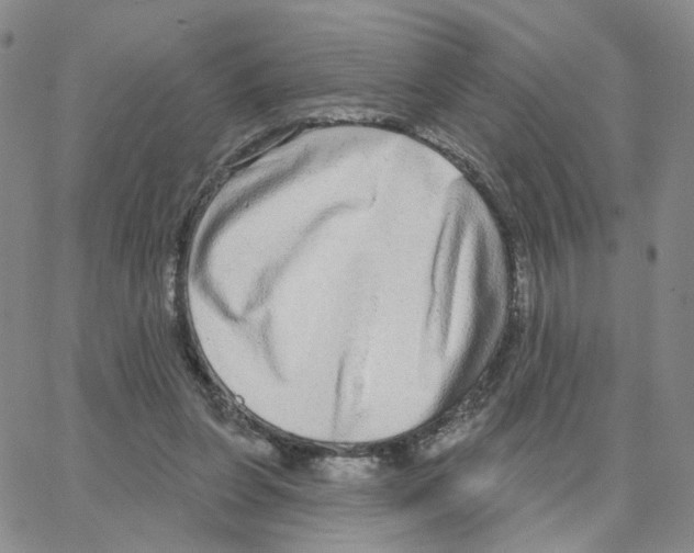 X0000064760255200603131416