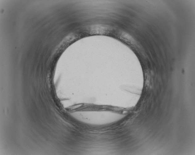 X0000064760258200603131416