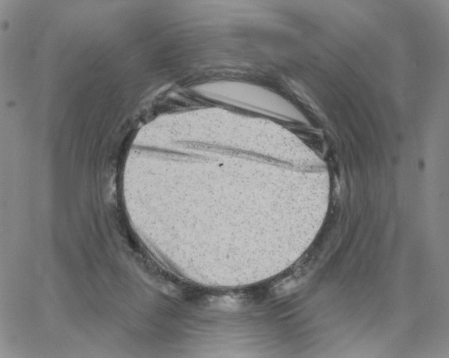 X0000064760259200603131416