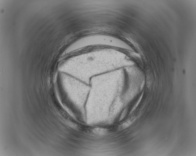 X0000064760261200603131416