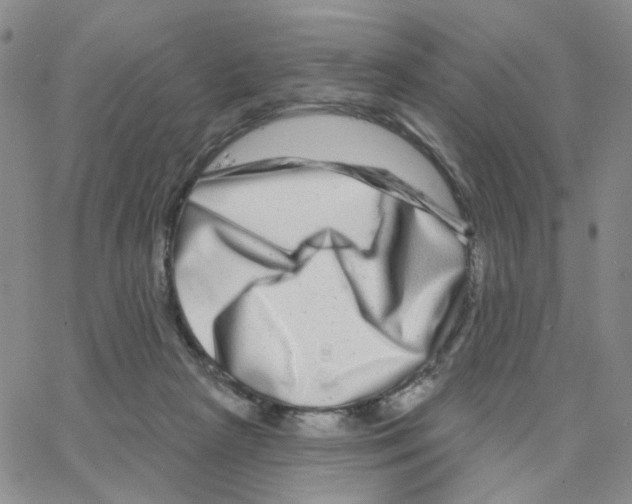 X0000064760265200603131416