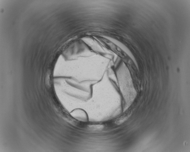 X0000064760266200603131416