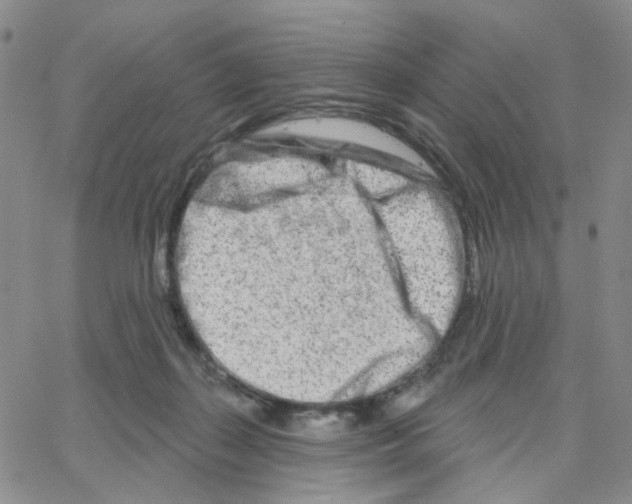 X0000064760267200603131416