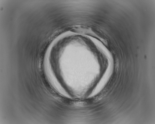 X0000064760268200603131416