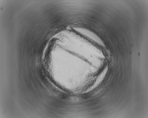 X0000064760272200603131416