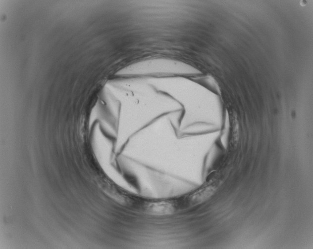 X0000064760275200603131416