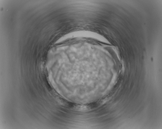X0000064760276200603131416