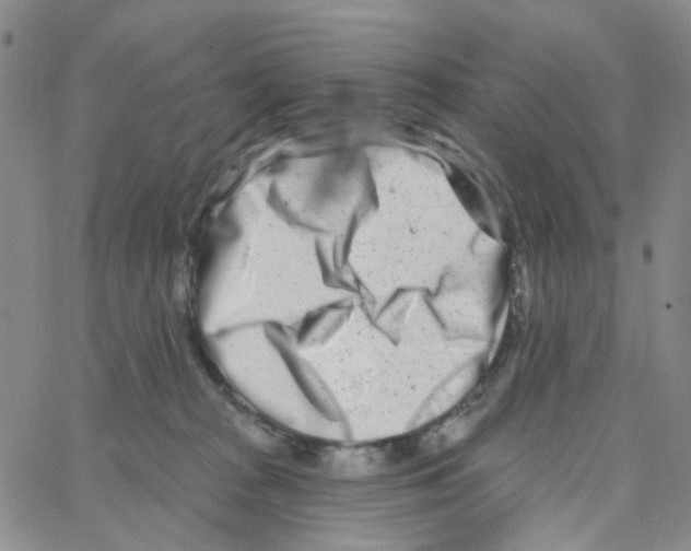 X0000064760277200603131416