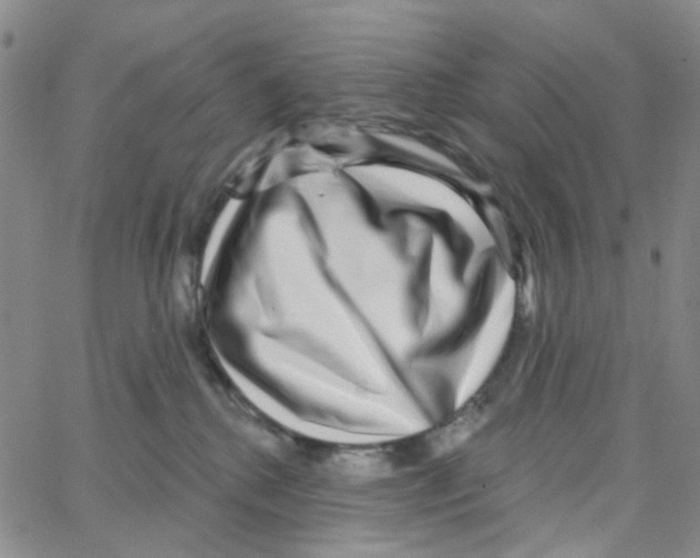 X0000064760280200603131416