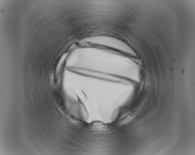 X0000064760281200603131416
