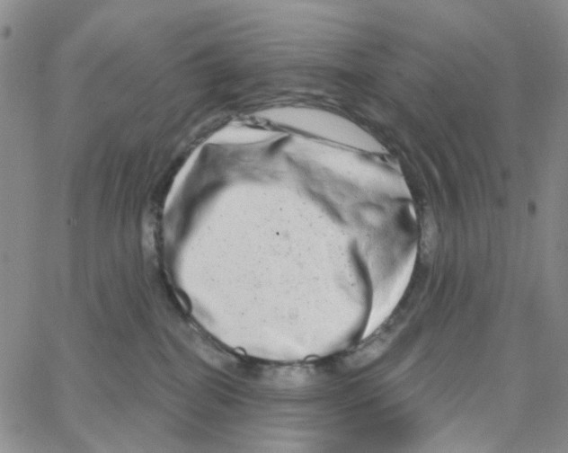 X0000064760282200603131416