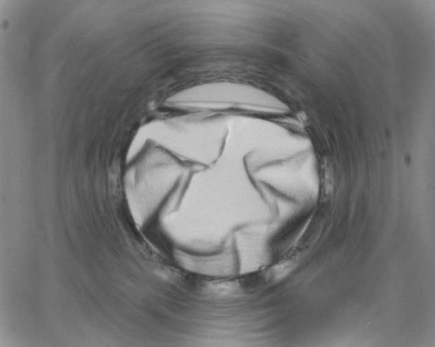 X0000064760283200603131416