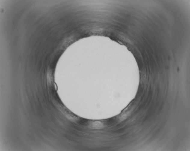 X0000064760287200603131416