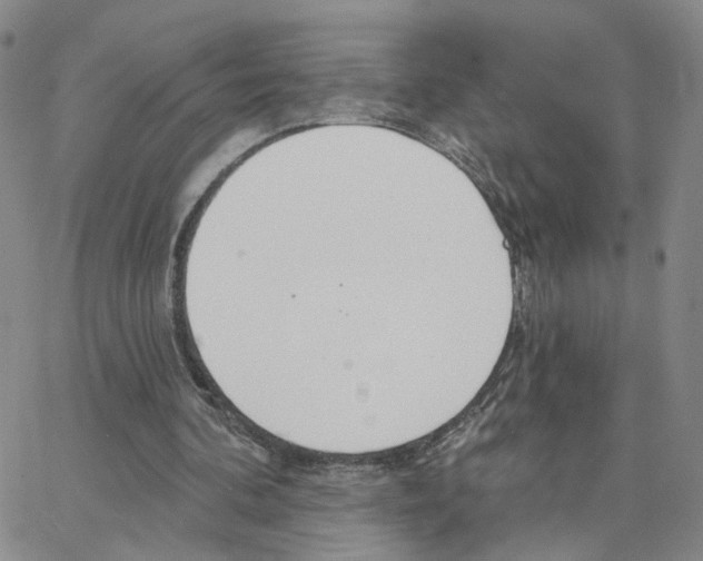 X0000064760292200603131415