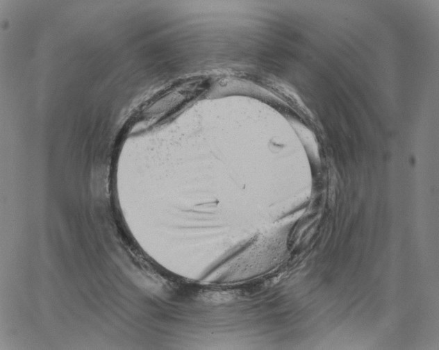 X0000064760299200603131415