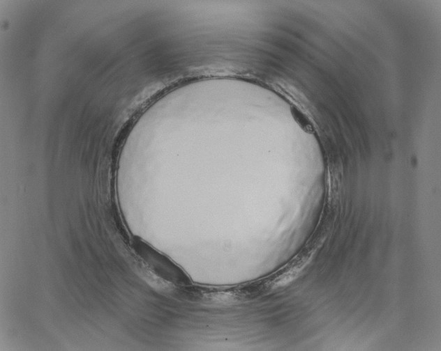 X0000064760301200603131415