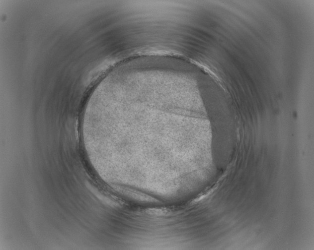 X0000064760302200603131415