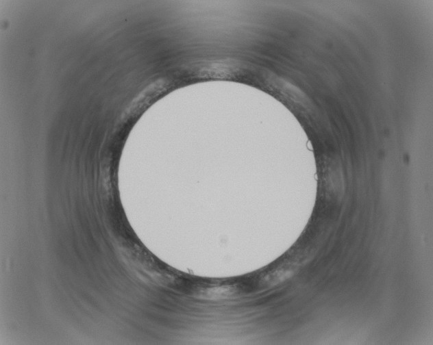 X0000064760312200603131415