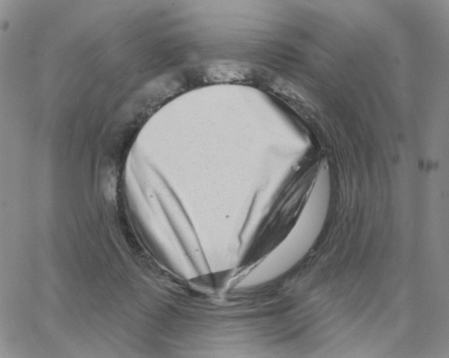 X0000064760315200603131415