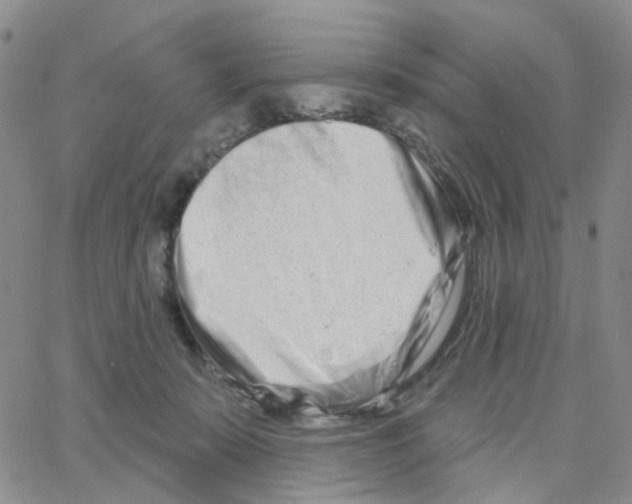 X0000064760319200603131415