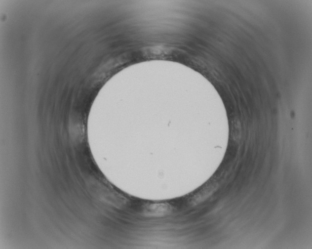 X0000064760324200603131415