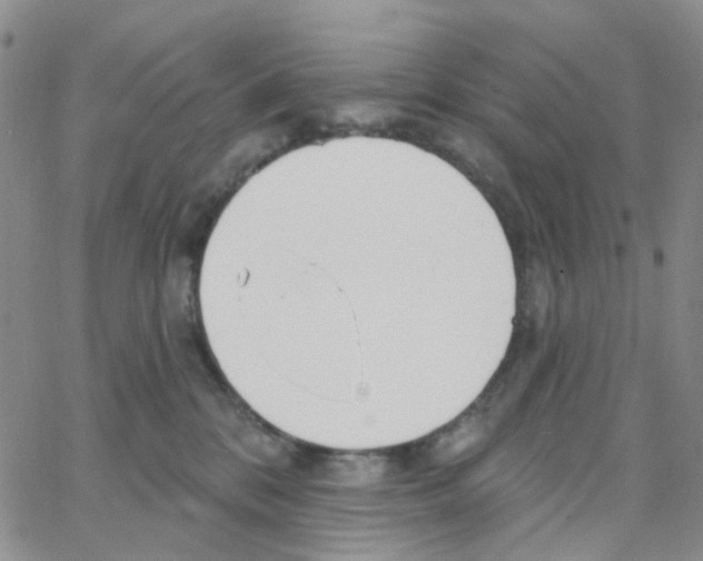 X0000064760328200603131415