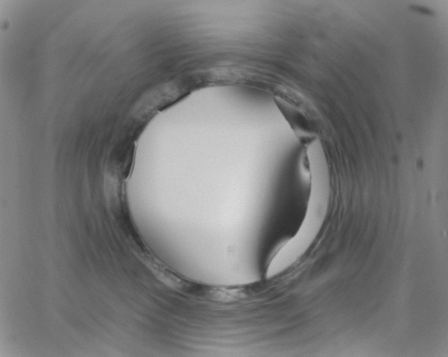 X0000064760333200603131415