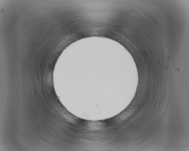 X0000064760336200603131415
