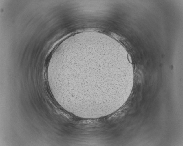 X0000064760338200603131414