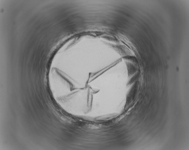 X0000064760346200603131414