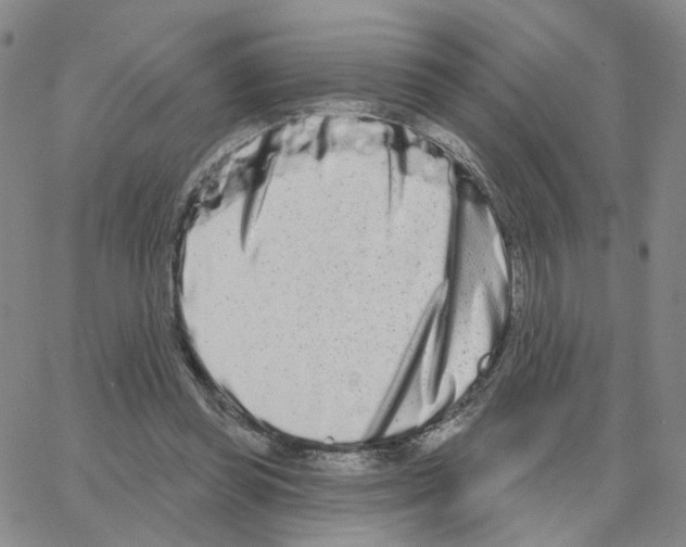 X0000064760349200603131414