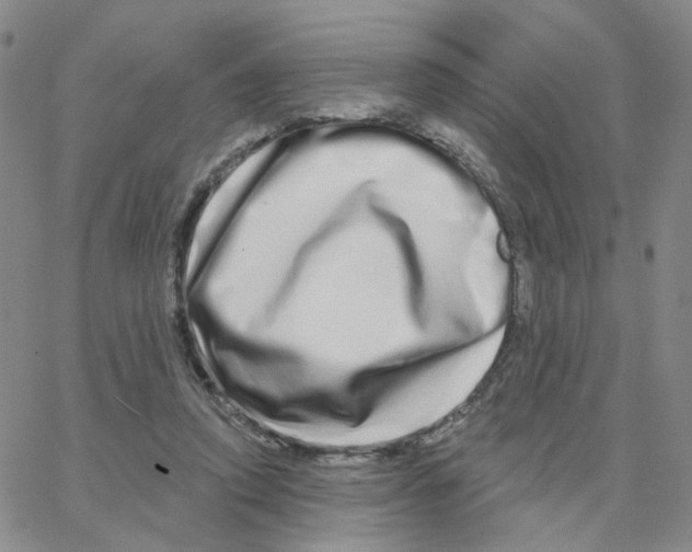X0000064760354200603131414