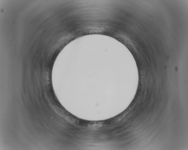 X0000064760362200603131414