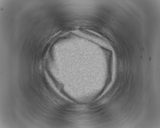 X0000064760363200603131414