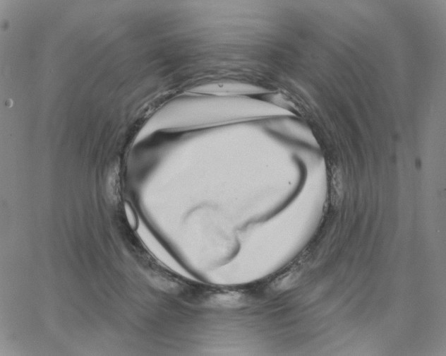 X0000064760364200603131414