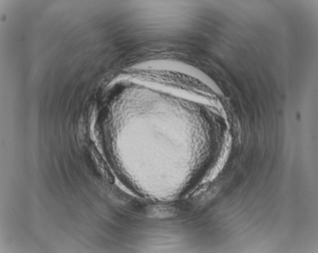 X0000064760372200603131414
