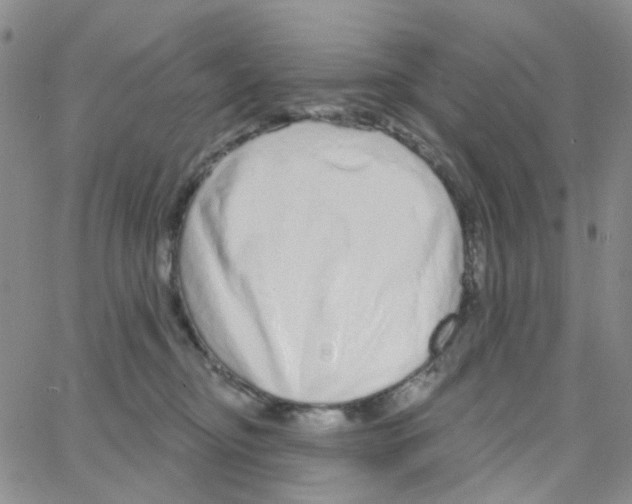 X0000064760374200603131414