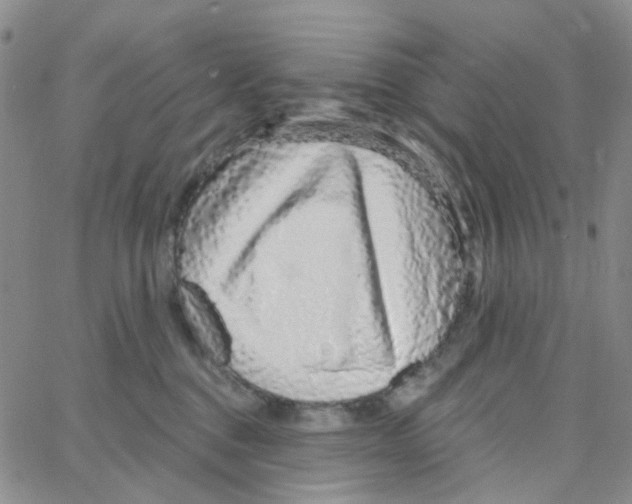 X0000064760376200603131414