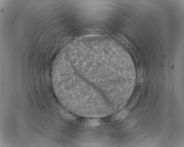 X0000064760377200603131415
