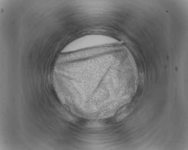 X0000064760381200603131415