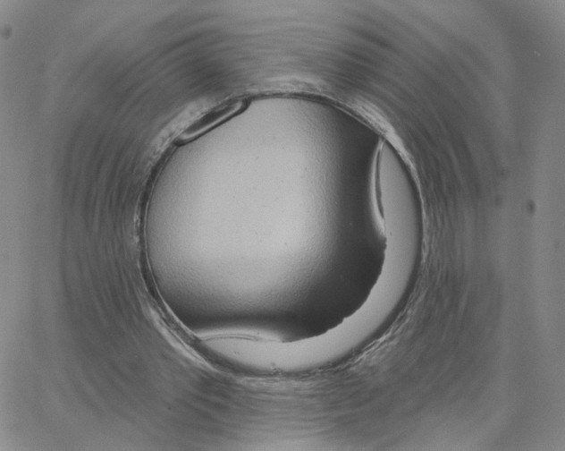 X0000064760389200603131414