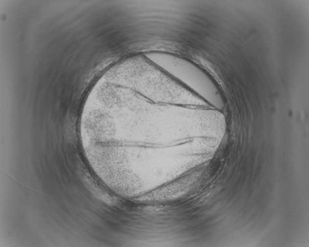 X0000064760394200603131414